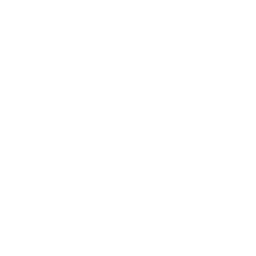 Seguridad